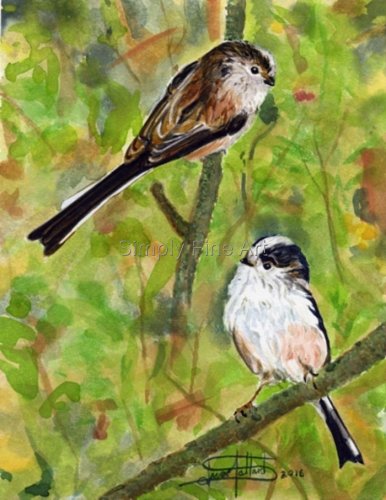 Vintage Miniature Birds Oil Paintings on Wood Pair Set of 2 Signed by  Artist Long Tailed Tits and Coal Tits 1965 Original